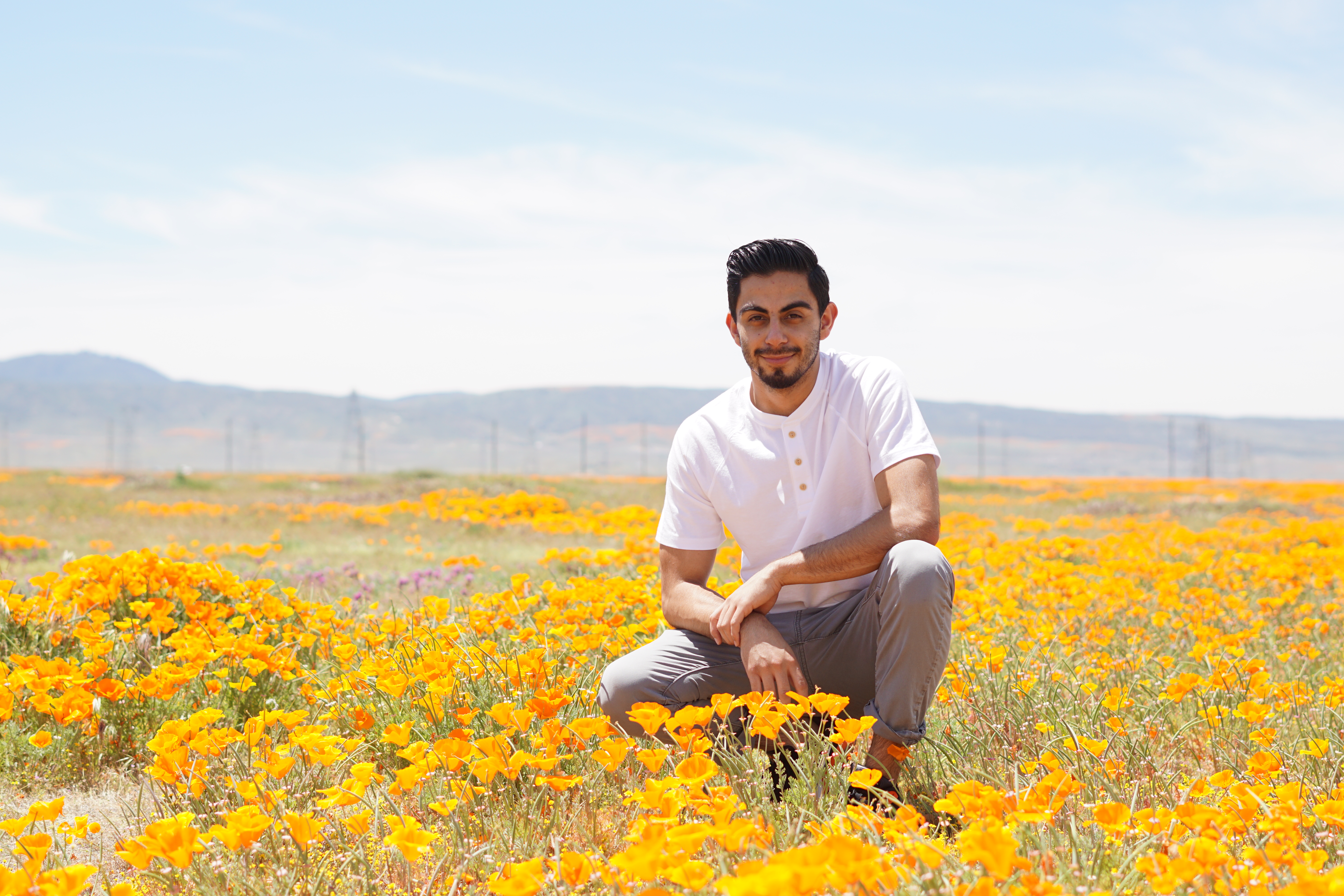 photo in poppy field